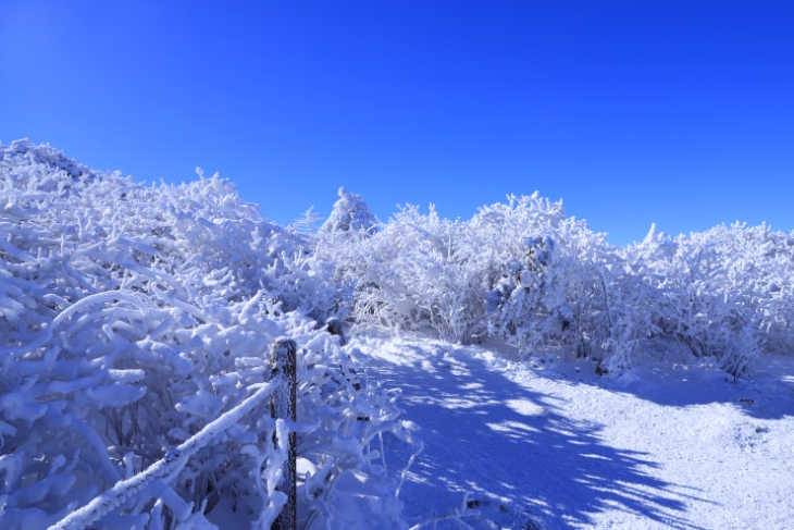 588c5d09928cc80c433158c9937ced0b_1739347225_9515.png