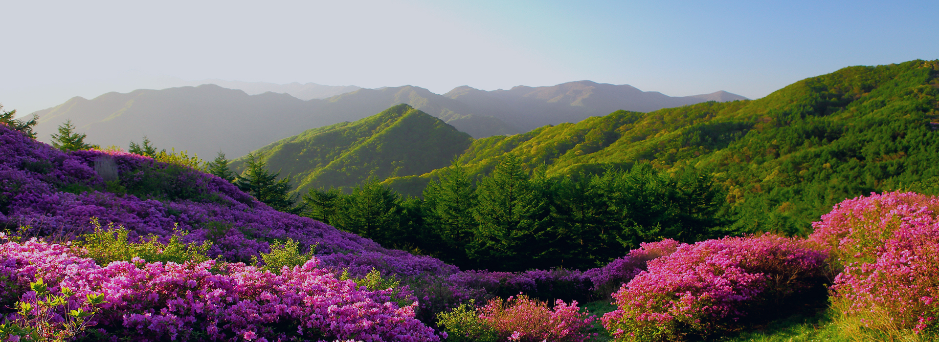 배너사진4